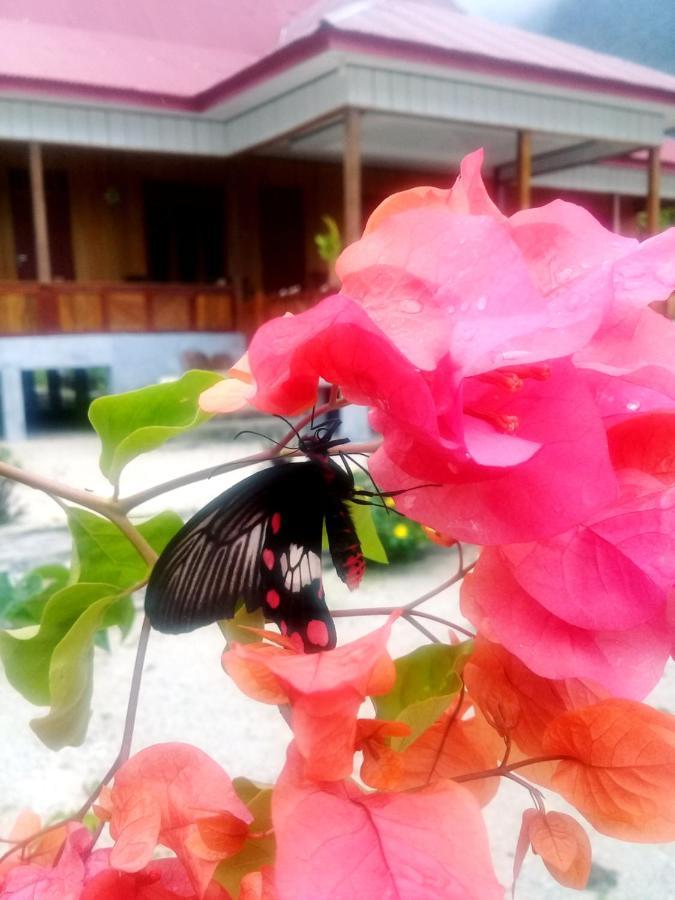 Nusa Nalan Beach Resort Rumah Olat Esterno foto